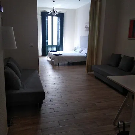 Appartement Centro Santa Catalina 1º C Séville